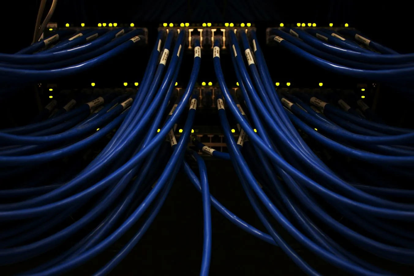 Neatly patched blue network cables in a business network switch